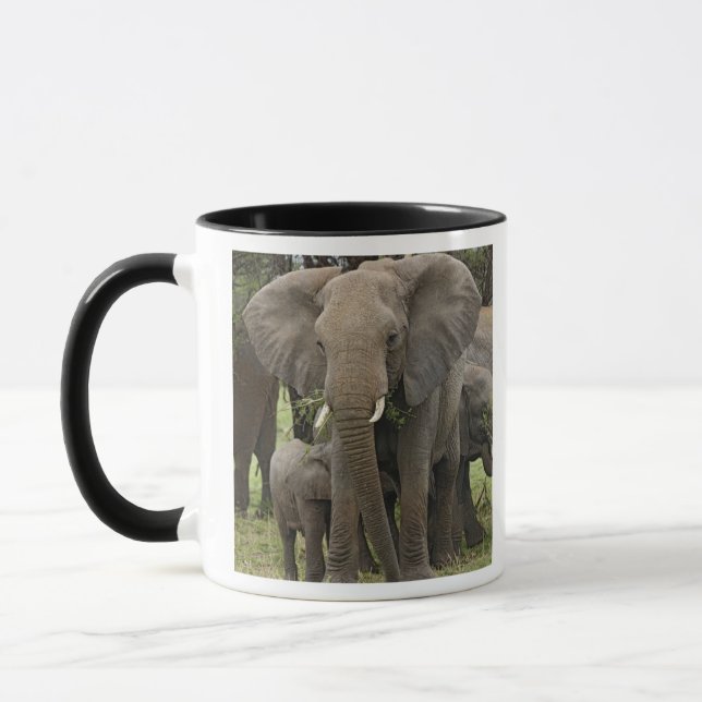 Taza Elefante africano | Manada (Izquierda)