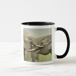 Taza Elefantes asiáticos indios jugando a pelear