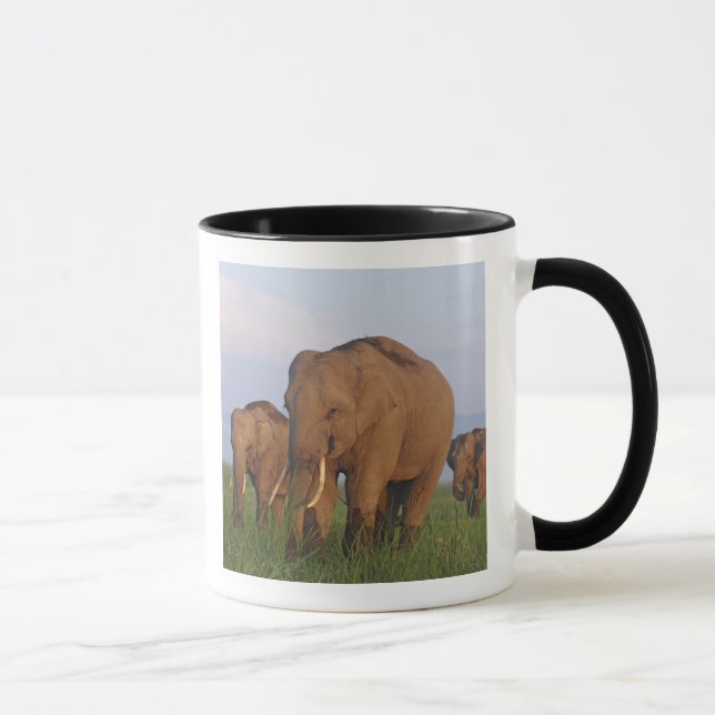 Taza Elefantes indios en la pradera (Derecha)