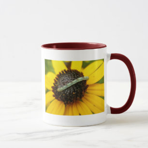 Taza Elementos de coordinación comunes de la columna de