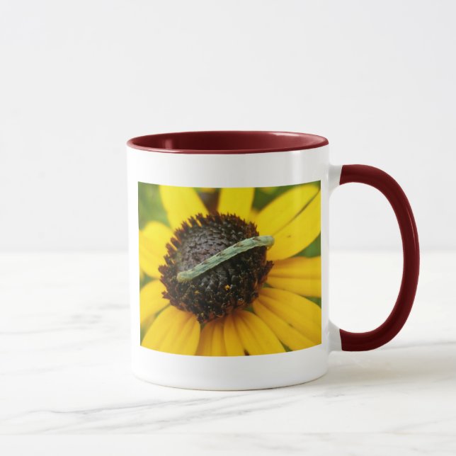 Taza Elementos de coordinación comunes de la columna de (Derecha)