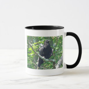 Taza Elementos de coordinación de filas