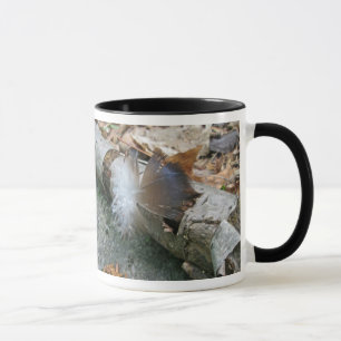 Taza Elementos de coordinación de plumas de buitre de T