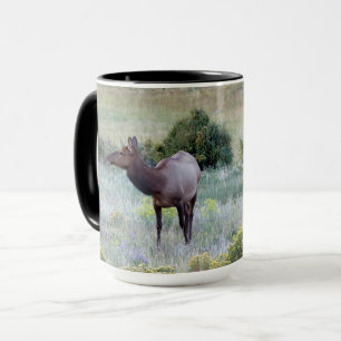 Taza Elk americano   Colorado