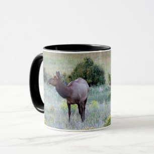 Taza Elk americano   Colorado