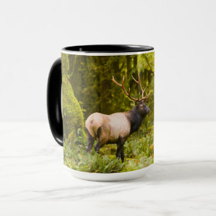 Taza Elk Bull Roosevelt Parado En Meadow