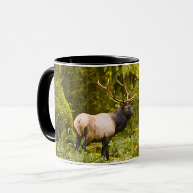 Taza Elk Bull Roosevelt Parado En Meadow (Anverso izquierdo)