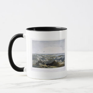 Taza Empalme del río de piedra amarillo con el Missou