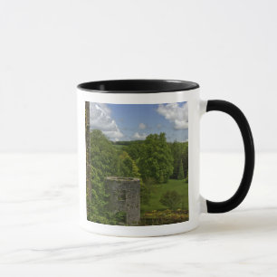 Taza En Irlanda, en Blarney Castle una torre de piedra 