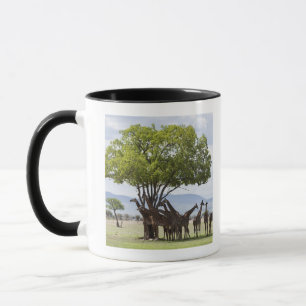 Taza En safari en el parque nacional de Mikumi en