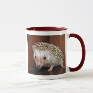 Taza enana africana del erizo