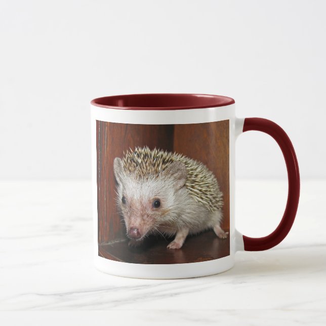 Taza enana africana del erizo (Derecha)