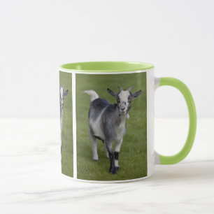 Taza enana de la cabra