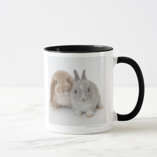 Taza Enano de dos Netherland y conejitos de Holanda Lop (Derecha)