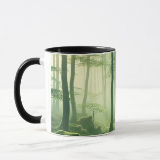 Taza Enchanted Misty Forest Serene Green Woodland Scene