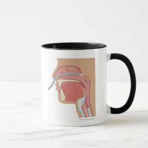 Taza Endoscopia de la nariz