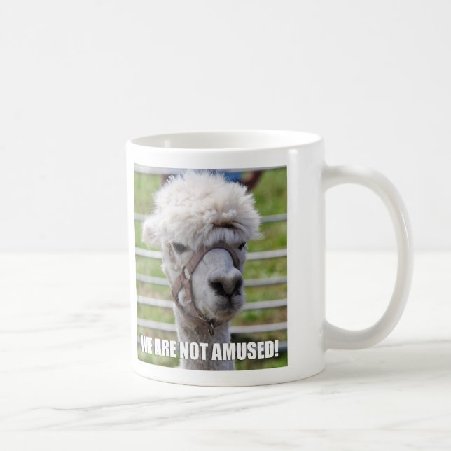Taza enfadada de la alpaca (Derecha)