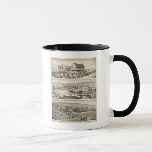 Taza Enfermería, residencias (Derecha)