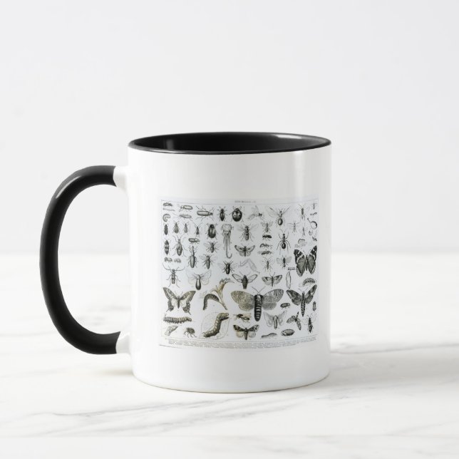 Taza Entomología (Izquierda)