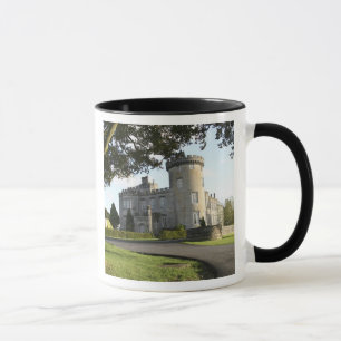Taza entrada lateral del castillo de Dromoland sin gent