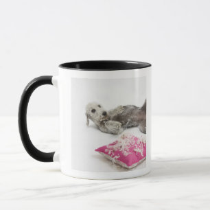Taza Entrenamiento del comportamiento del perro