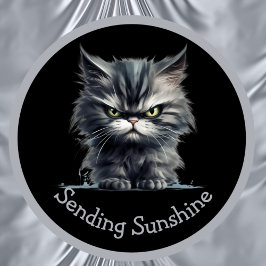 Taza Enviar Sunshine O Tu Gato De Plata Enfadado De Tex