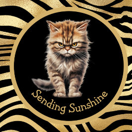 Taza Enviar Sunshine O Tu Gato De Tabby Funny De Texto