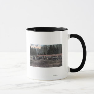 Taza Equipo de mula en el campamento Lewis
