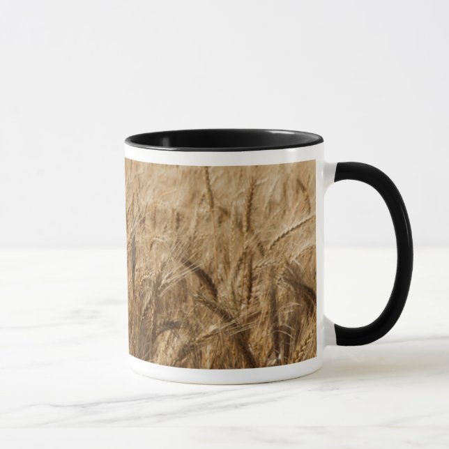 Taza Erick, Ruta 66 de Oklahoma (Derecha)