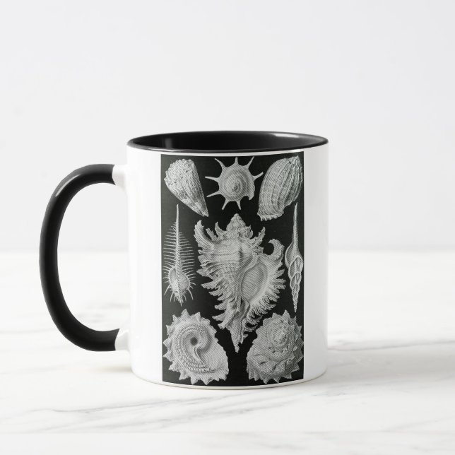 TAZA ERNST HAECKEL (Izquierda)