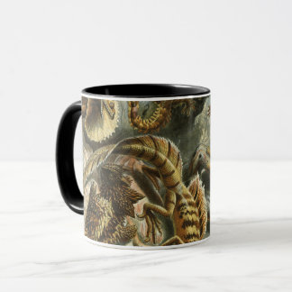 Taza Ernst Haeckel antiguo ilustracion de moda Lacertil
