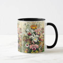 Taza Ernst Haeckel - Orchids