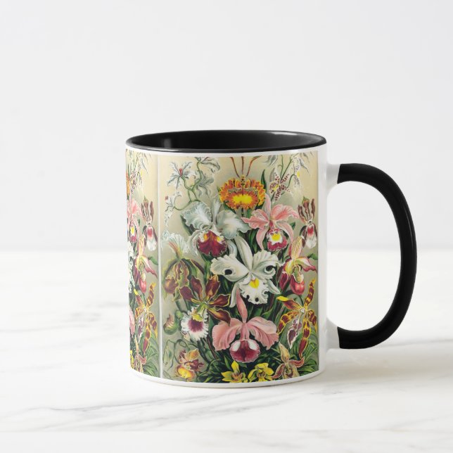 Taza Ernst Haeckel - Orchids (Derecha)