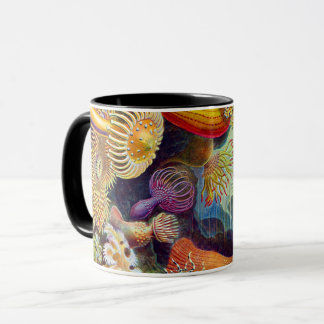 Taza Ernst Haeckel Sea Anemones Marine:Actiniae