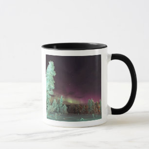 Taza Escandinavia, Finlandia, Laponia, Kakslauttanen,