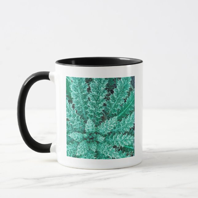 Taza Escarcha en Thistle, Parque Nacional Olímpico (Izquierda)