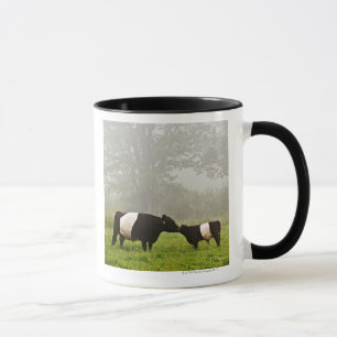 Taza Escena brumosa de la vaca ceñida de Galloway que