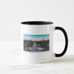 Taza Escena del viñedo de las uvas DryingKingsburg, CA
