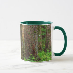 Taza Escenario de bosque antiguo
