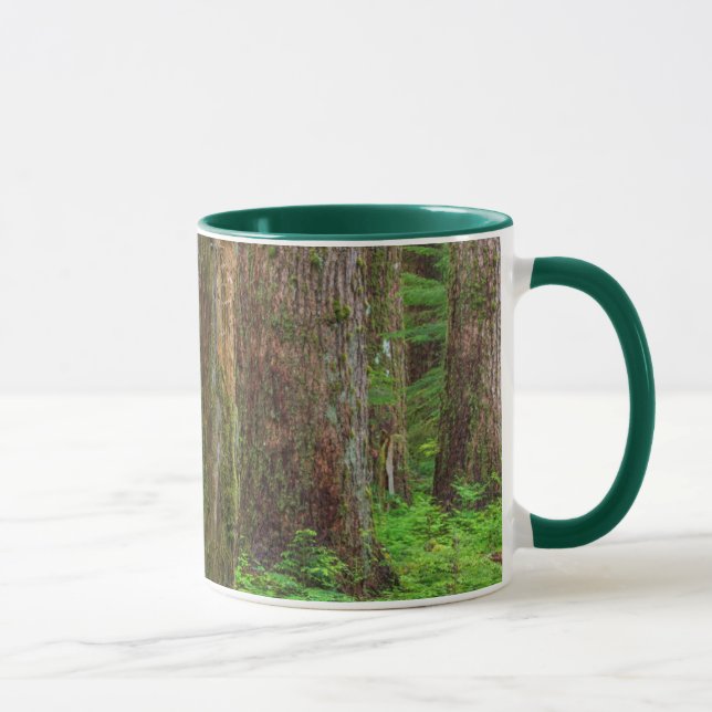 Taza Escenario de bosque antiguo (Derecha)