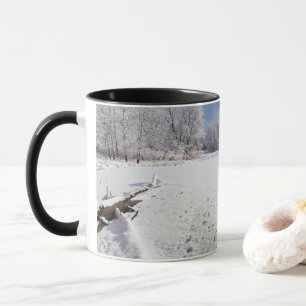 Taza escenografía de invierno a lo largo del estanque y