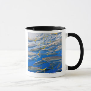 Taza Escuela de los corredores de arco iris, mar de