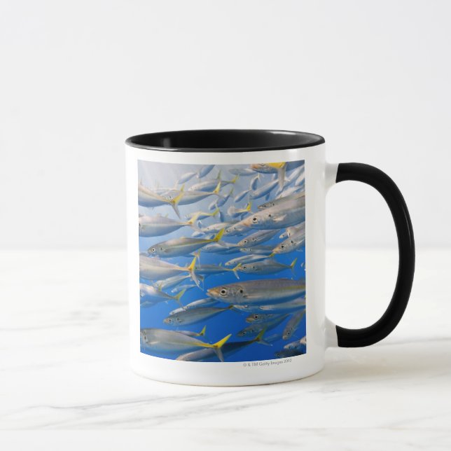 Taza Escuela de los corredores de arco iris, mar de (Derecha)
