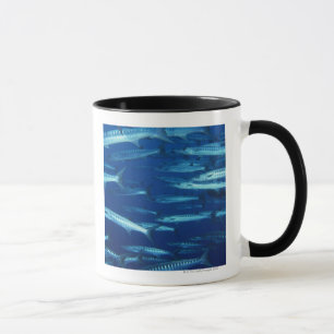 Taza Escuela de los pescados 9
