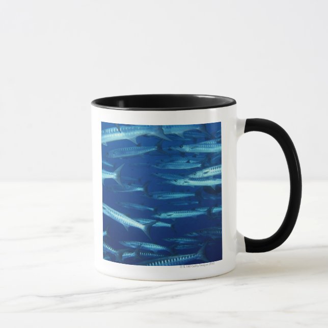 Taza Escuela de los pescados 9 (Derecha)