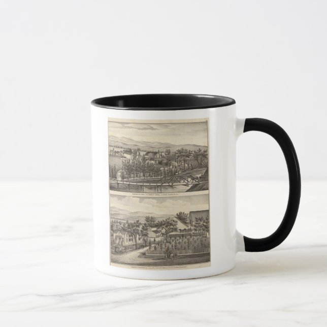 Taza Esden, residencias Clary (Derecha)