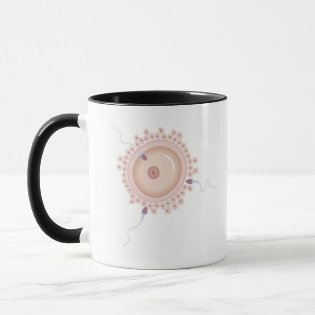 Taza Esperma que contiene el gen transformado (Izquierda)