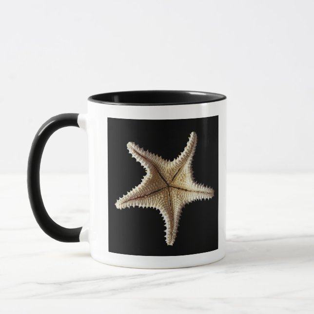 Taza Esqueleto de las estrellas de mar, primer 2 (Izquierda)