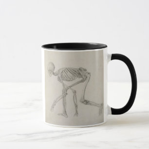 Taza Esqueleto humano: Visión lateral en postura que se