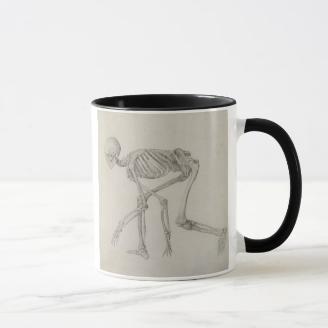 Taza Esqueleto humano: Visión lateral en postura que se (Derecha)